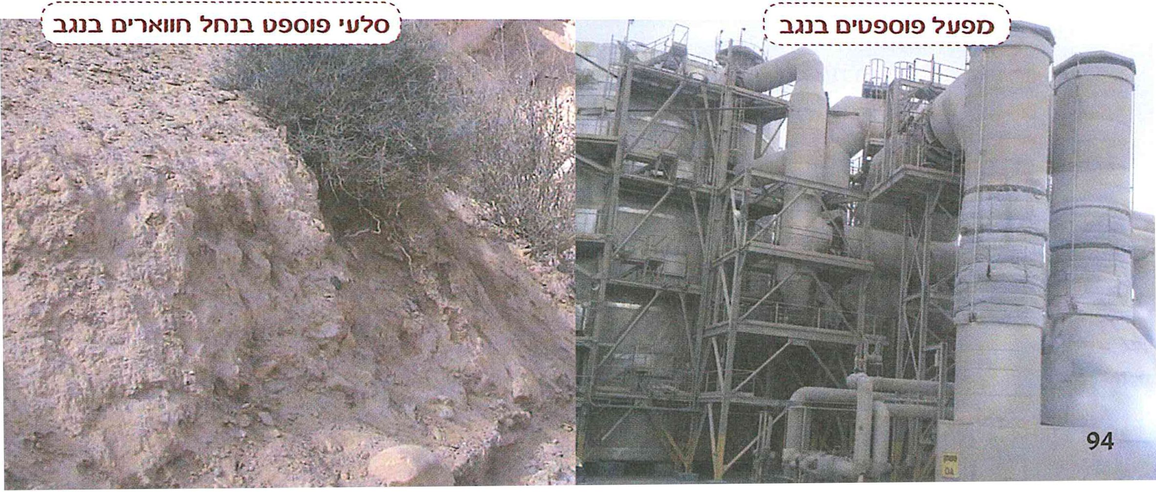(בספר תמונות)